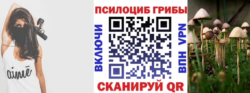 blacksprut рабочий сайт  продажа наркотиков  Серафимович  Псилоцибиновые грибы прущие грибы 